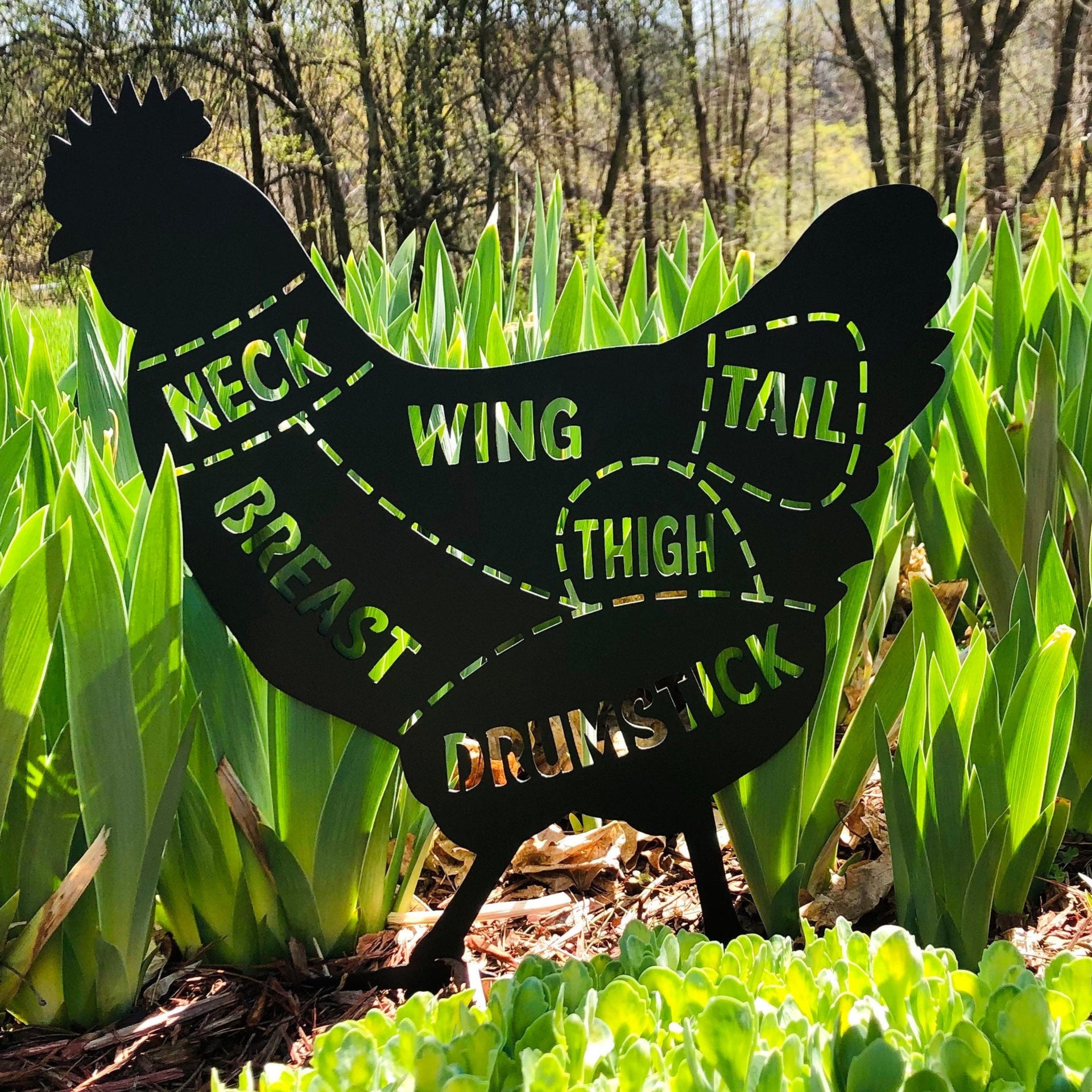 Cute CHICKEN DIVVY Metal Wall Sign -Powder Coated - Cute Farmhouse Gift - Housewarming - Chicken Life - Eggs - Coop - Metal Art